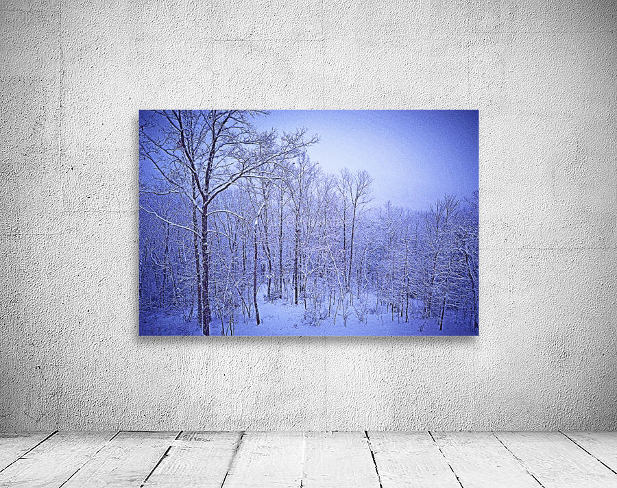 Winter Blues OS Wall Preview