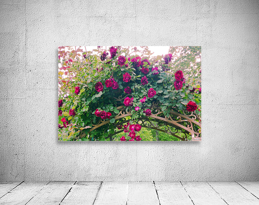 Summer Rose Arbor edit 4 Original size Wall Preview