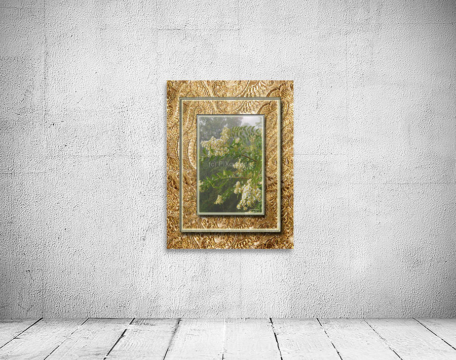 Crepe Myrtle Var 4  Wall Preview