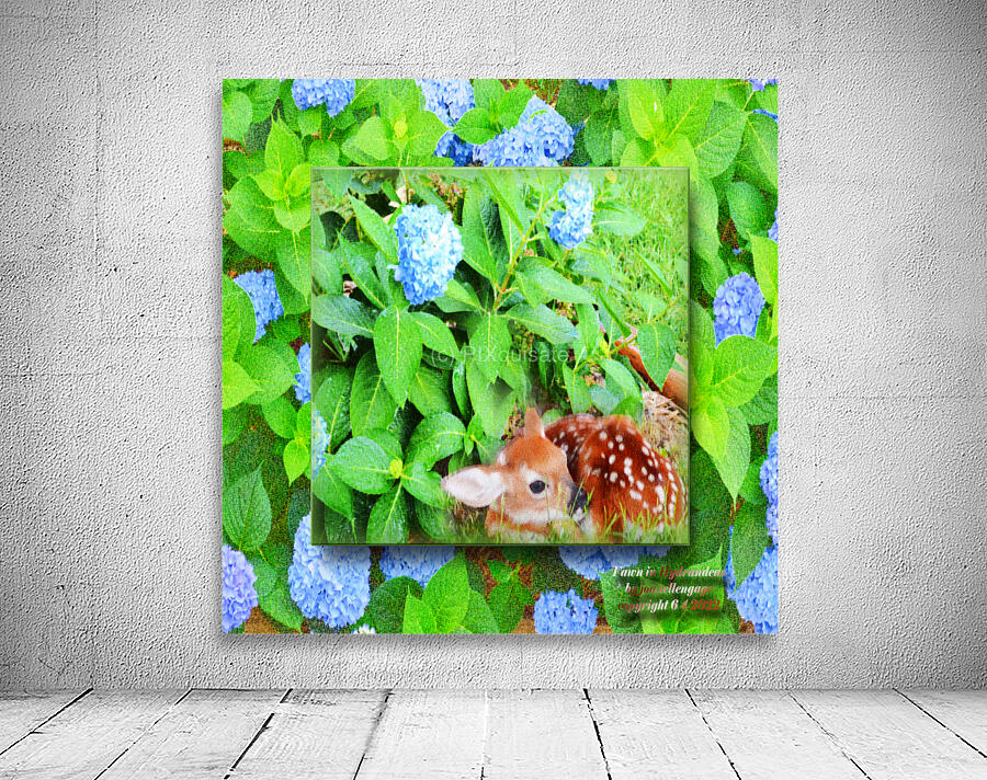 Fawn in Hydrangeas  Wall Preview