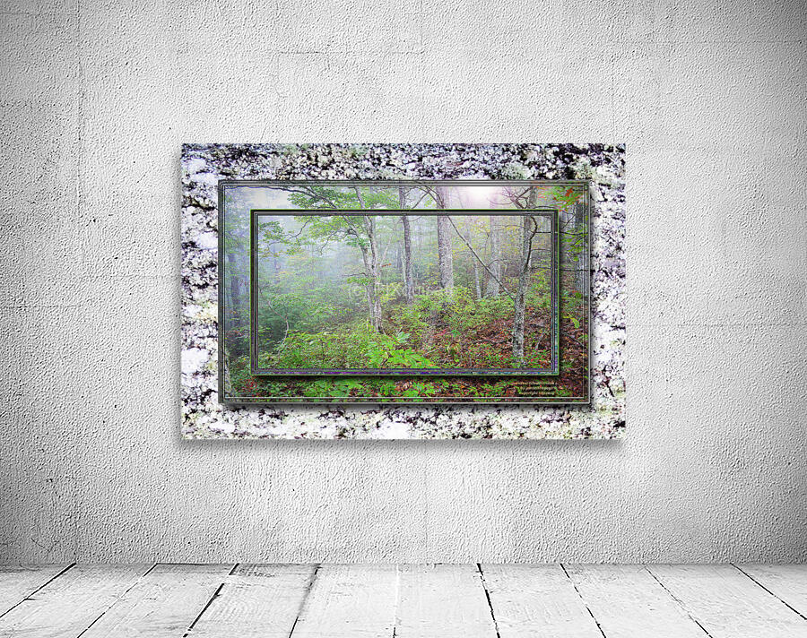 Forest Glow Ver 2 DF Wall Preview
