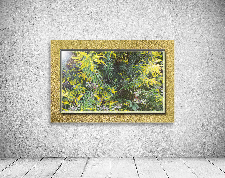 Goldenrod Vers 3  Wall Preview