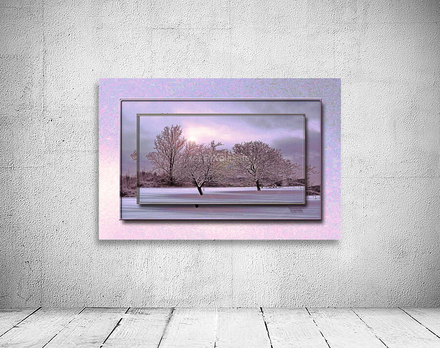 January Trees Version 2 DF Wall Preview