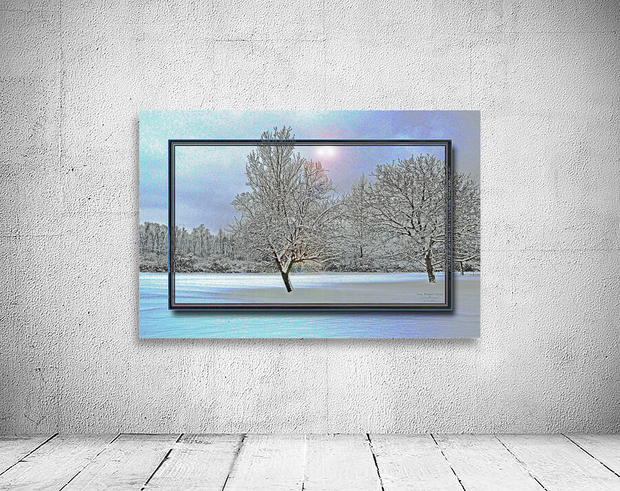 Two Winter Trees Version 2  Wall Preview