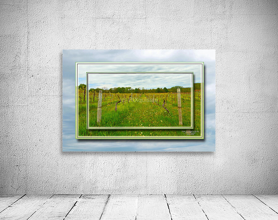 Gage Vineyard in Spring DF Wall Preview