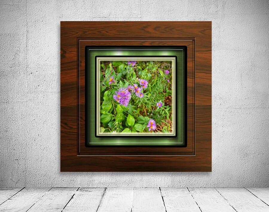 Aster and Bee Ver 2  Wall Preview