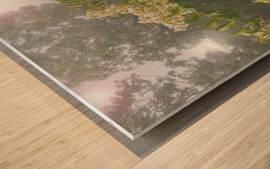 Crepe Myrtle Variation 3 OS Wood print