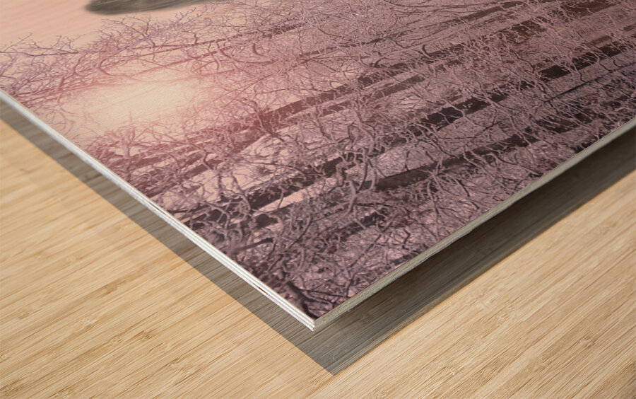 Gypsy Winter Road OS Wood print