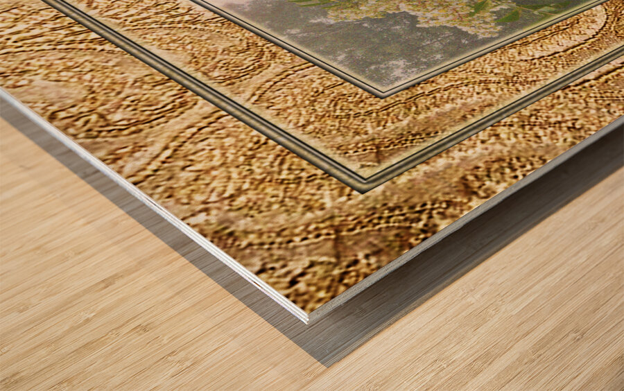 Crepe Myrtle Var 4  Wood print