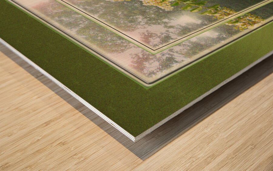 Crepe Myrtle Var 3 Wood print