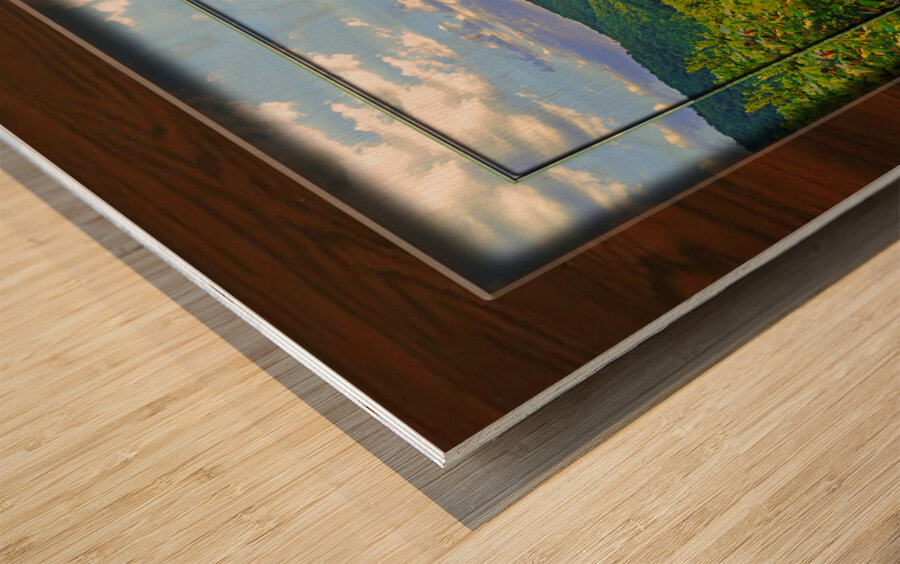 Franklin Morning TF Wood print