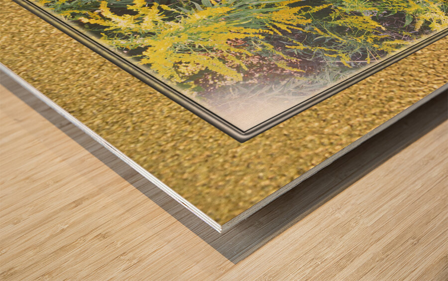 Goldenrod Vers 3  Wood print
