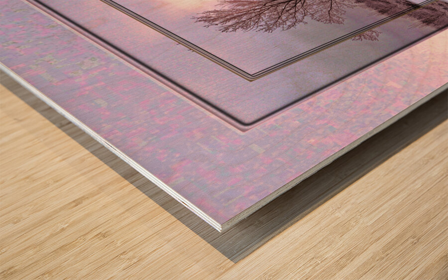 January Trees Version 2 DF Wood print