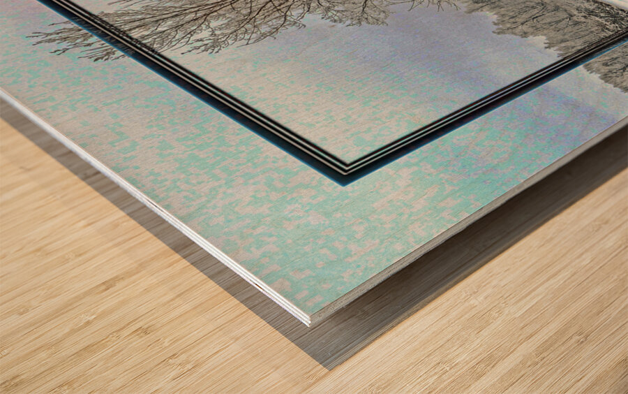 Two Winter Trees Version 2  Wood print