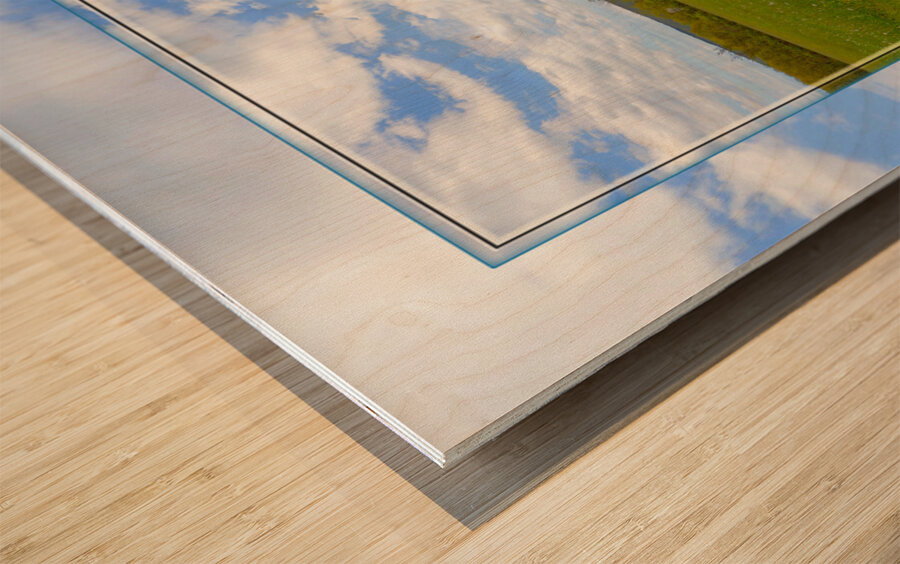 Country Meadow Ver 2  Wood print