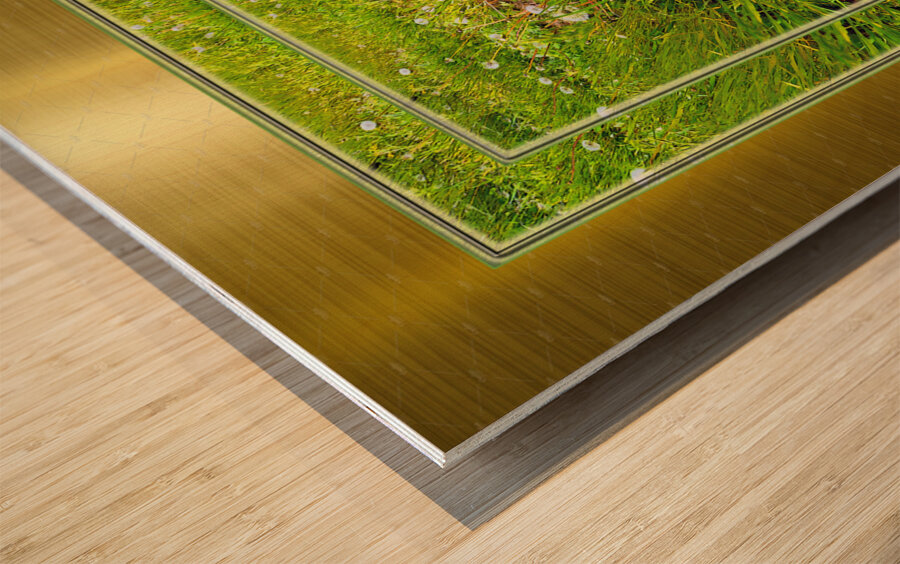 Wildflowers Var 2  Wood print