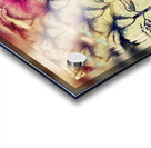 XLIV Acrylic print
