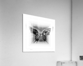 XLVI Acrylic Print