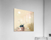 XLIII Acrylic Print