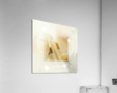 XLI Acrylic Print