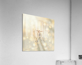 XXXVI Acrylic Print