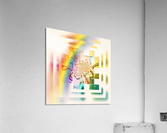 XXXV Acrylic Print