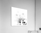 XXXIII Acrylic Print
