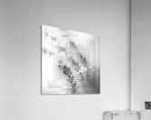 XXVII Acrylic Print