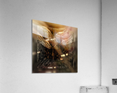 XVII Acrylic Print