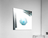 XIV Acrylic Print