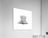 X Acrylic Print