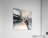 IX Acrylic Print