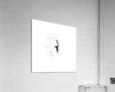  V Acrylic Print