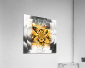 IV Acrylic Print