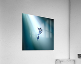 II Acrylic Print