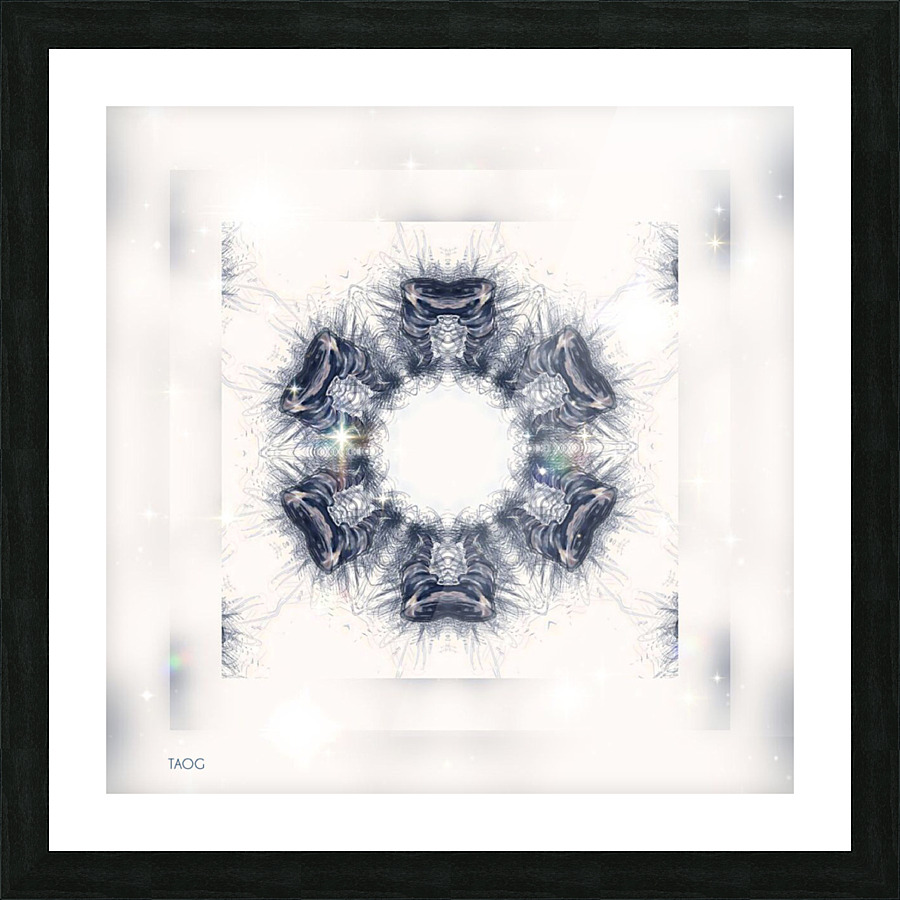 XLVII Picture Frame print