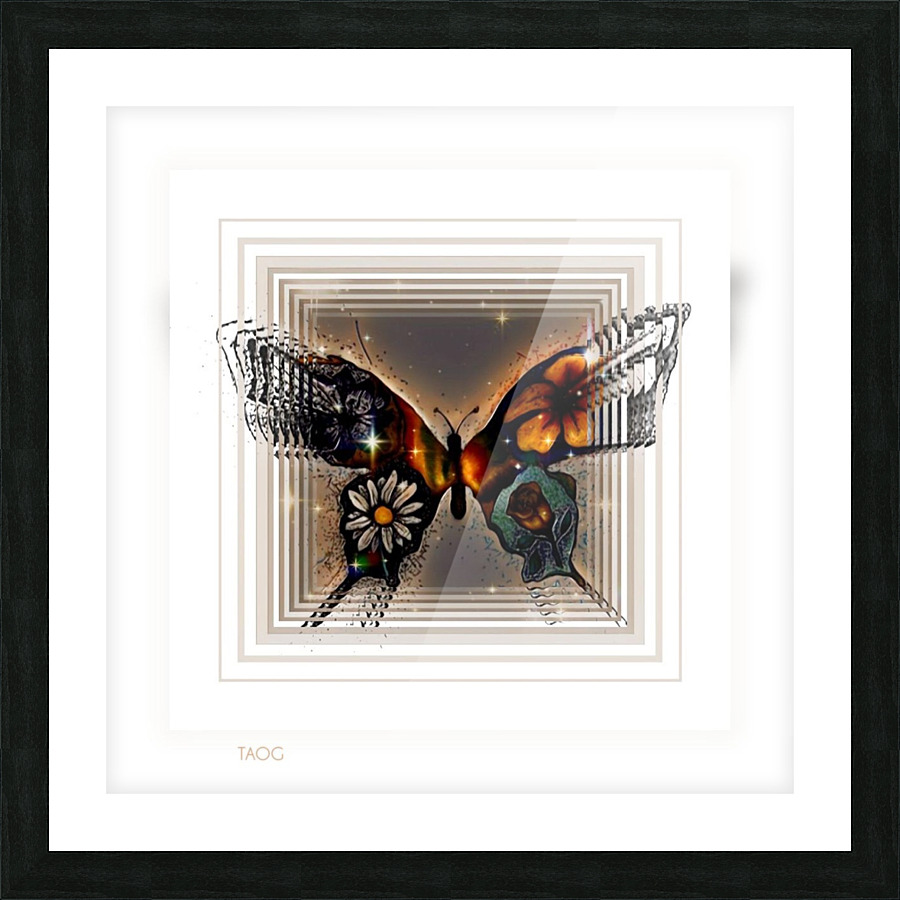 XLVI Picture Frame print