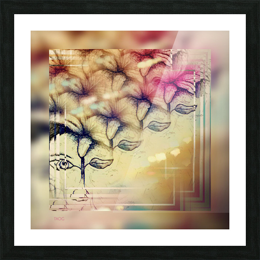 XLIV Picture Frame print