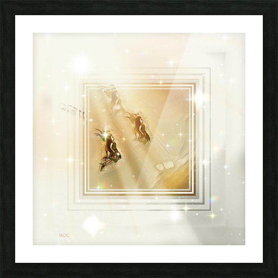XLI Picture Frame print