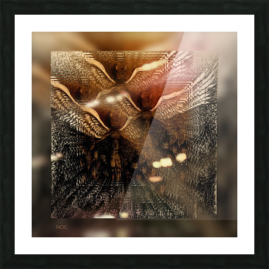 XVII Picture Frame print