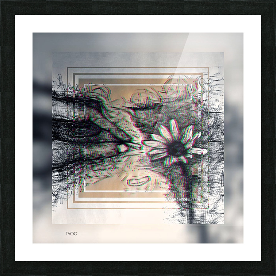 IX Picture Frame print
