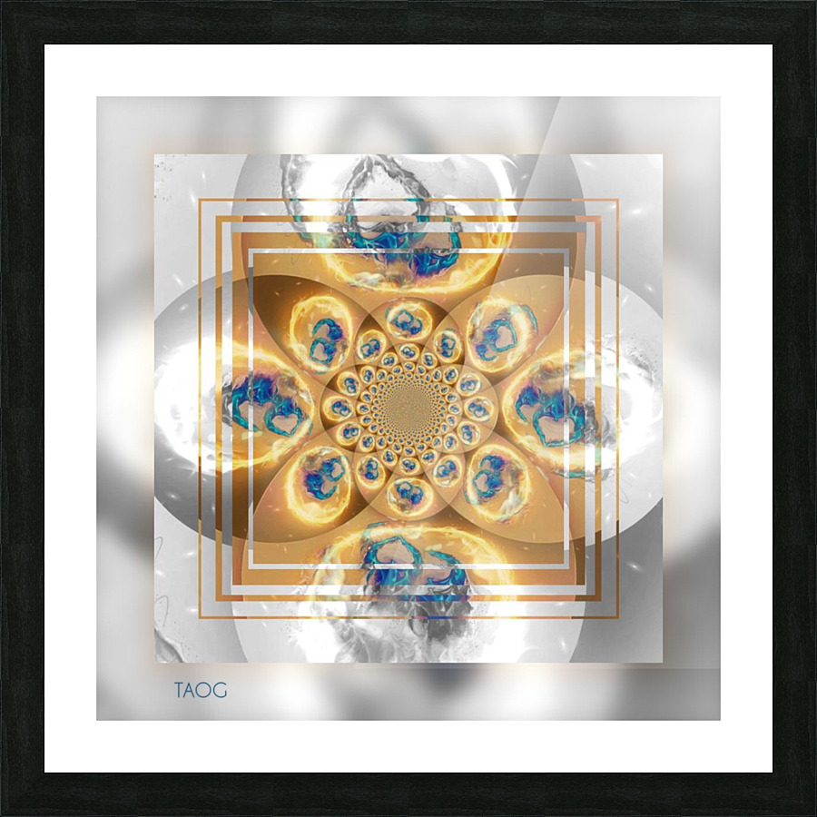 VI Picture Frame print