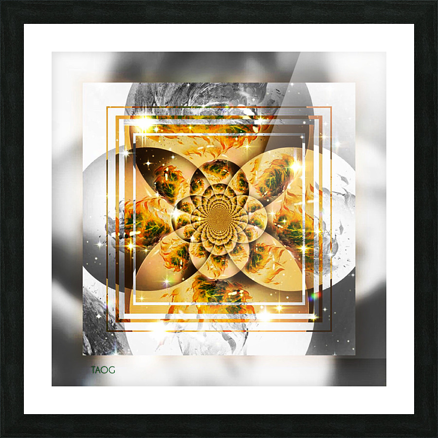 IV Picture Frame print