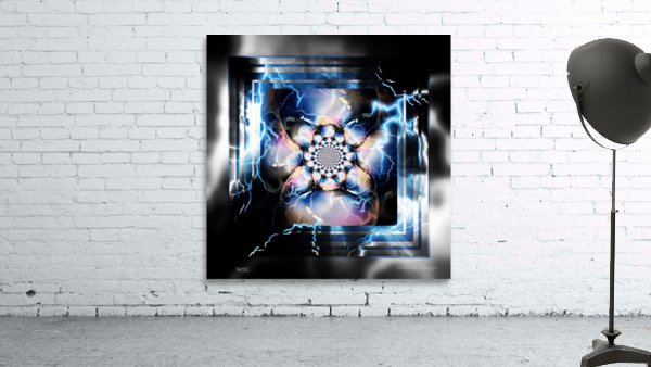 XXV Wall Preview