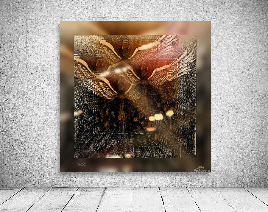 XVII Wall Preview