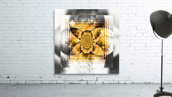 IV Wall Preview