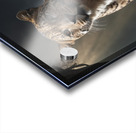 Majestic Leopard in Forest Light Acrylic print