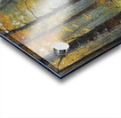 Autumn Forest Pathway Acrylic print