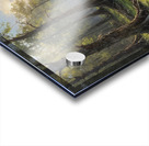 Tranquil Forest Stream Landscape Acrylic print