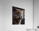 Close Up Portrait of a Leopard Acrylic Print